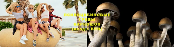 дурь Нефтекумск