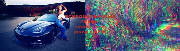 хмурый Абинск