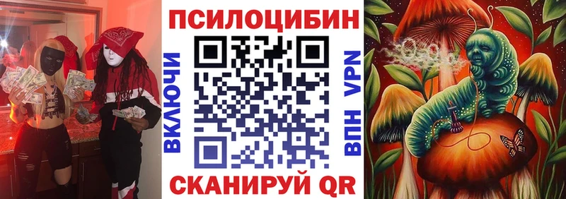 Псилоцибиновые грибы Psilocybe Новотроицк